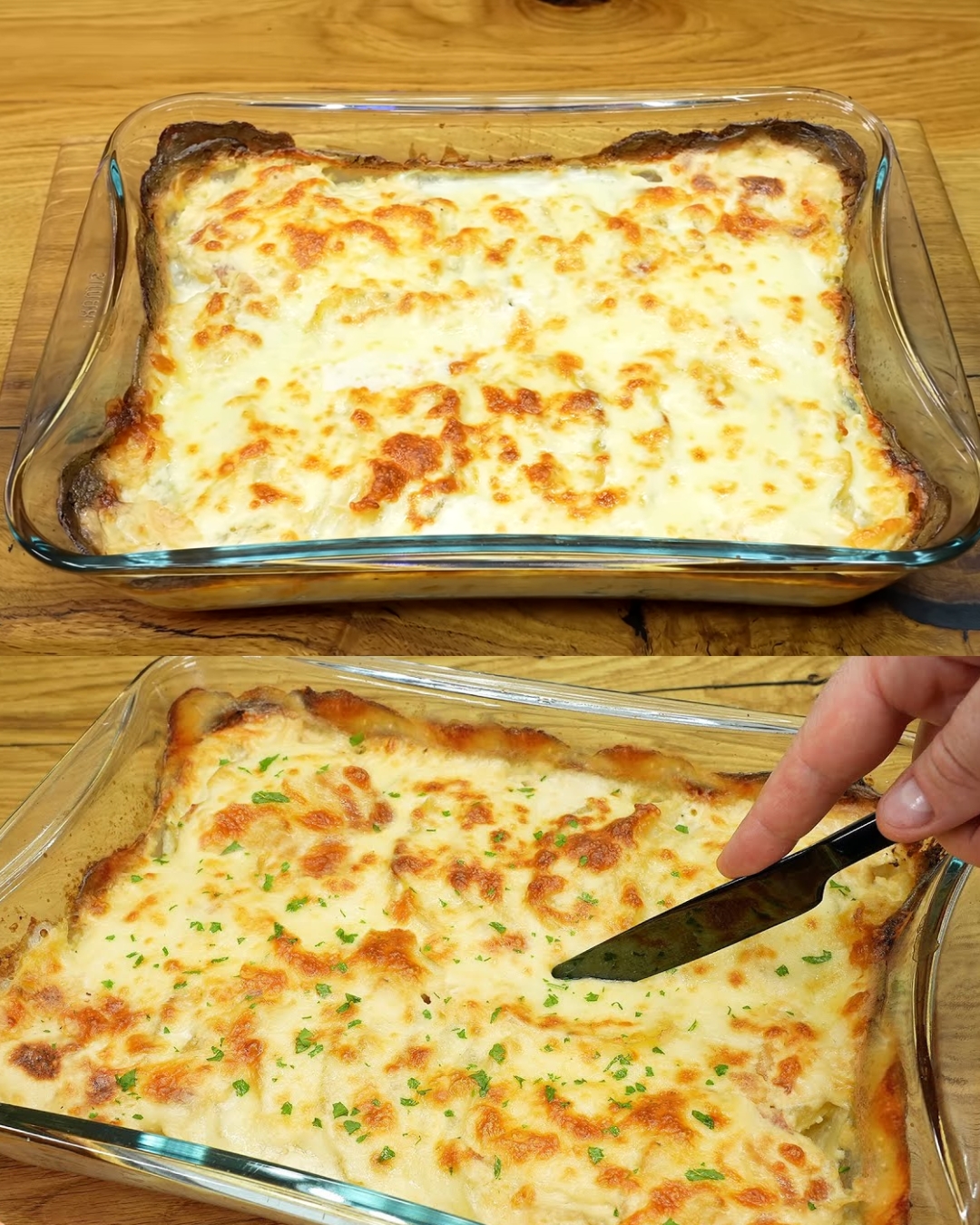 Creamy Cheesy Potato Gratin