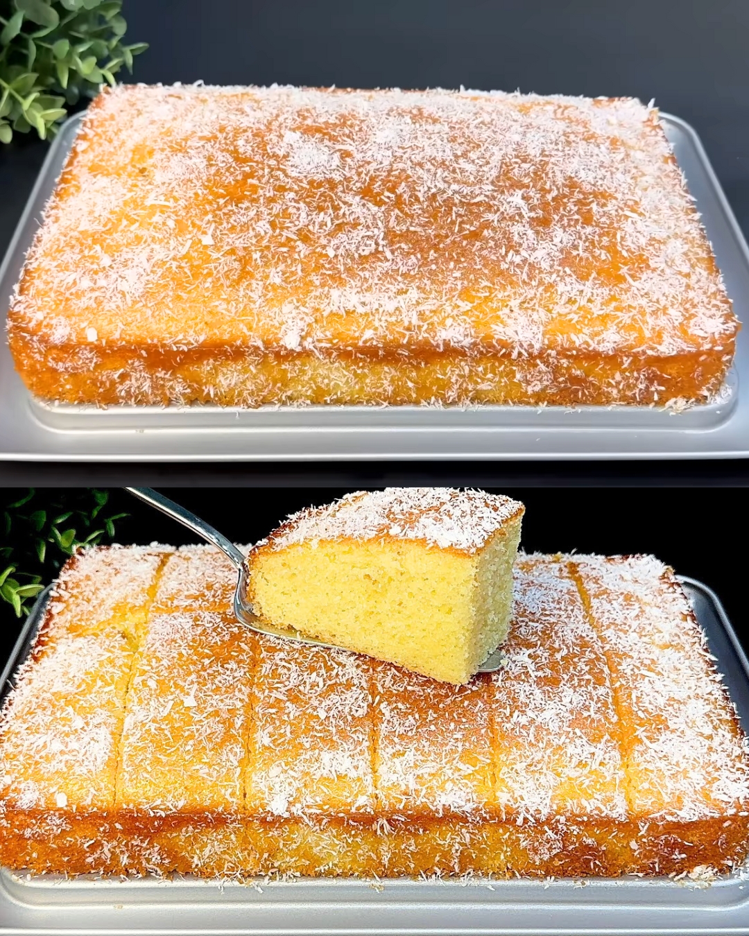 Lemon Vanilla Cake with Apricot Jam and Coconut