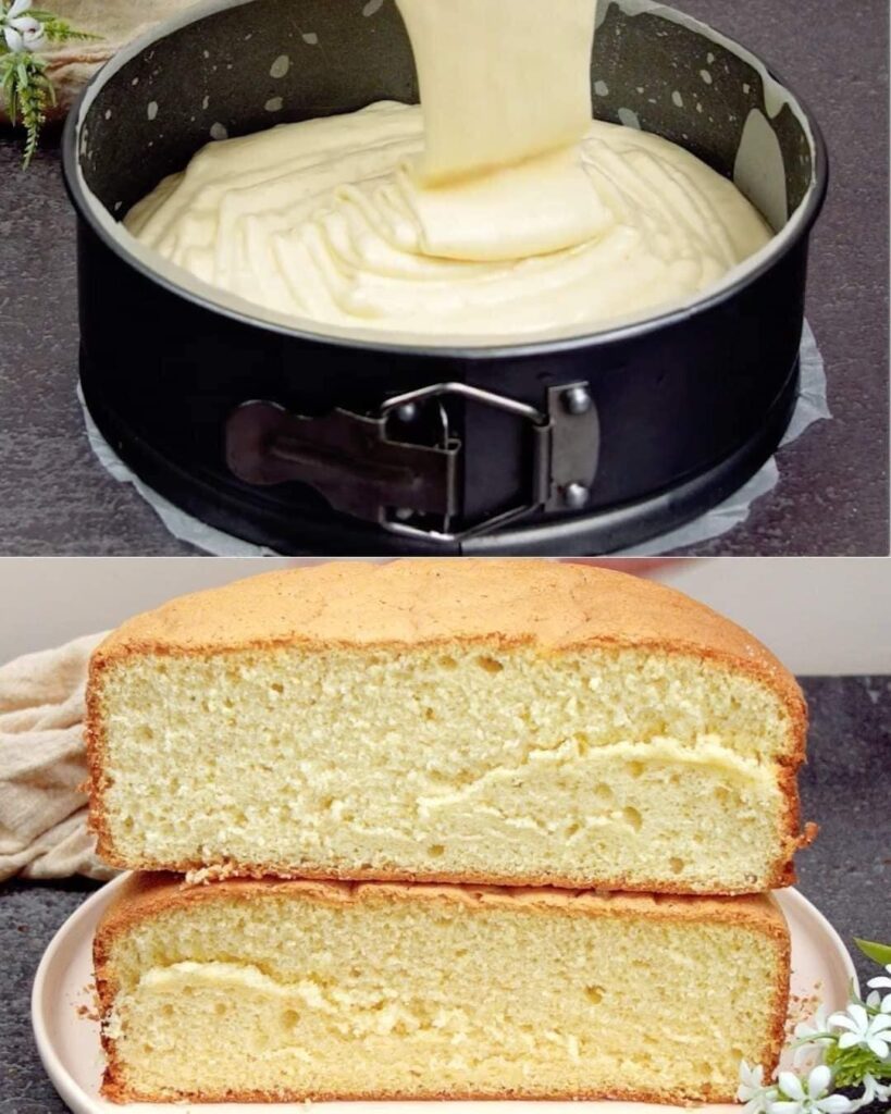 Classic Sponge Cake finished dish