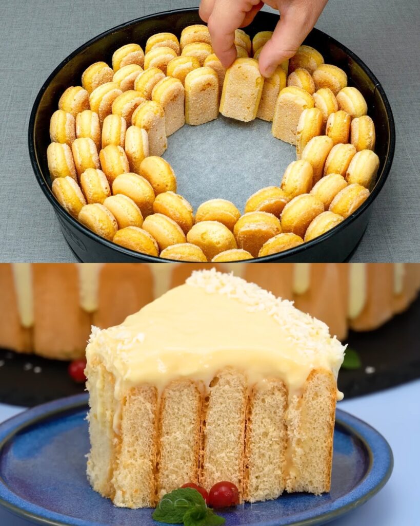 Ladyfinger Delight: A No-Bake Treat for Kids (and Grown-Ups Too!)