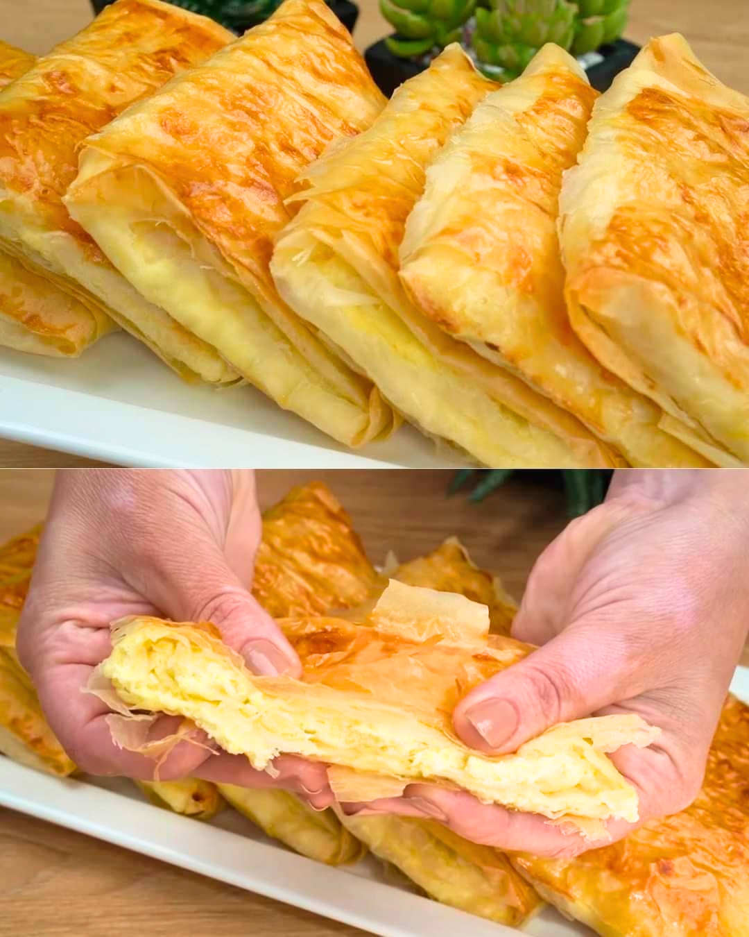 Cottage Cheese and Crème Fraîche Fillo Tart: A Creamy and Crispy Delight