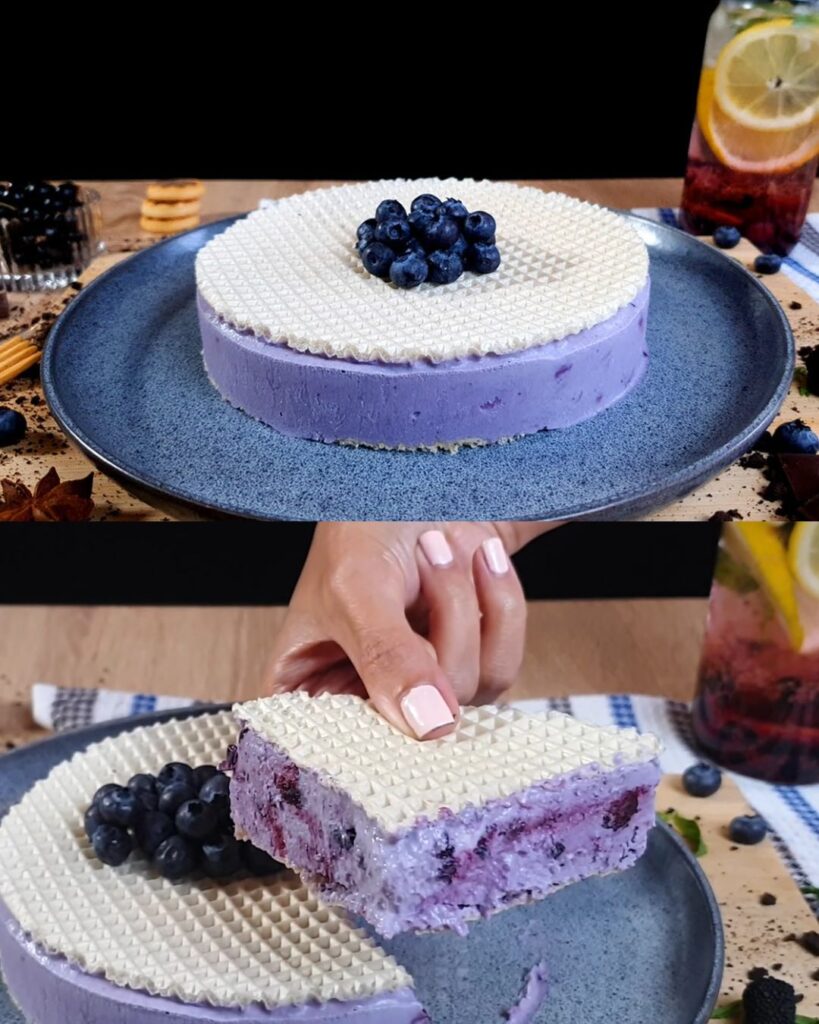 Delicious Blueberry Ice Cream – A Refreshing Homemade Dessert finished dish