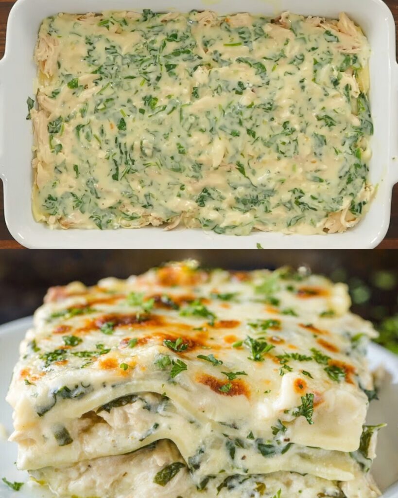 Creamy Spinach Chicken Lasagna