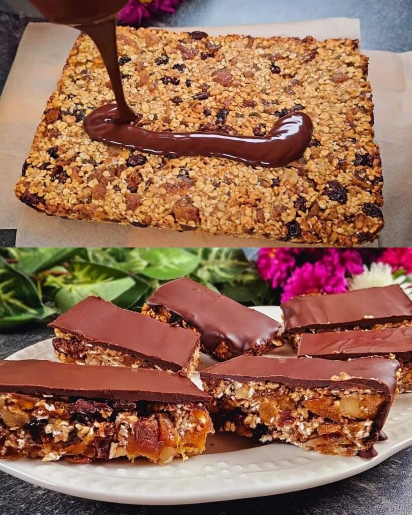 Homemade Oat Bars with Dark Chocolate and Dried Fruits