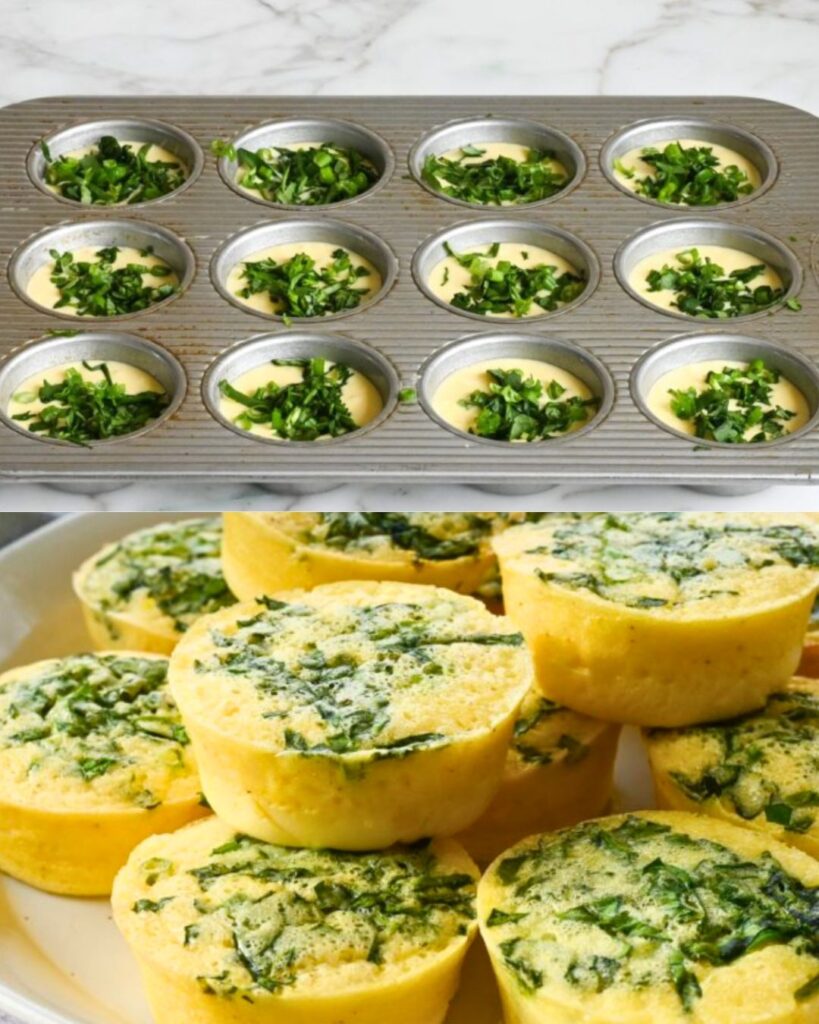 Creamy Cottage Cheese Spinach Bites