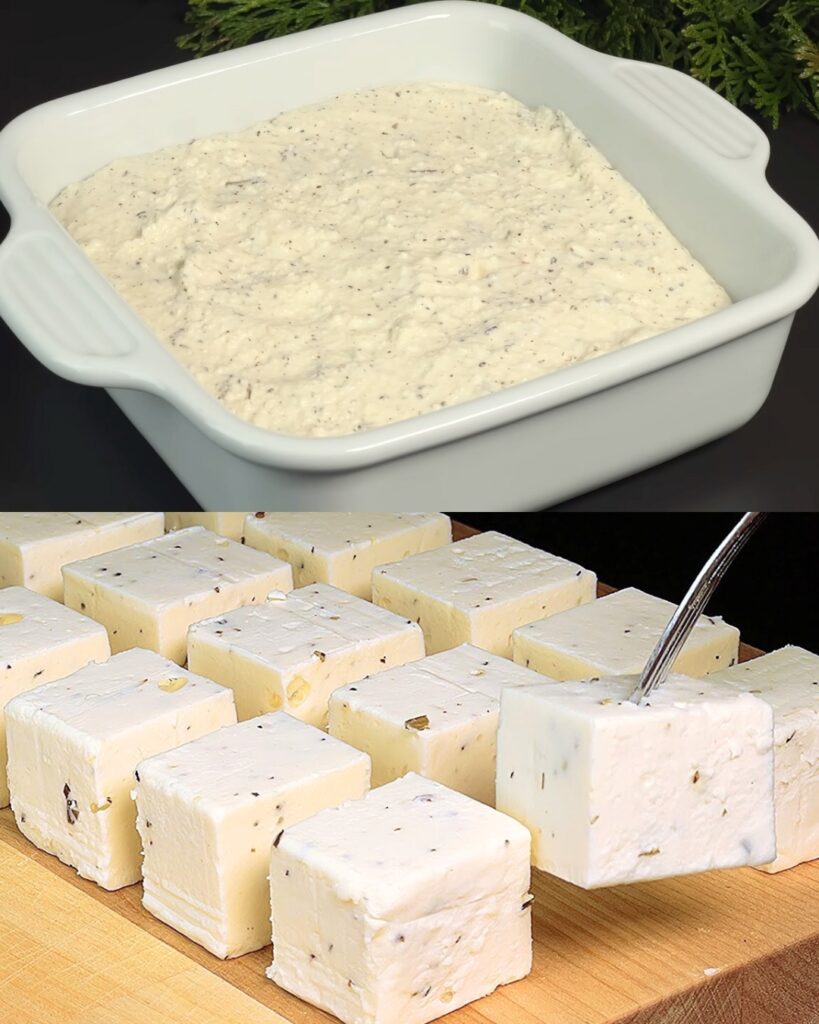 Two-Ingredient Homemade Cheese Recipe