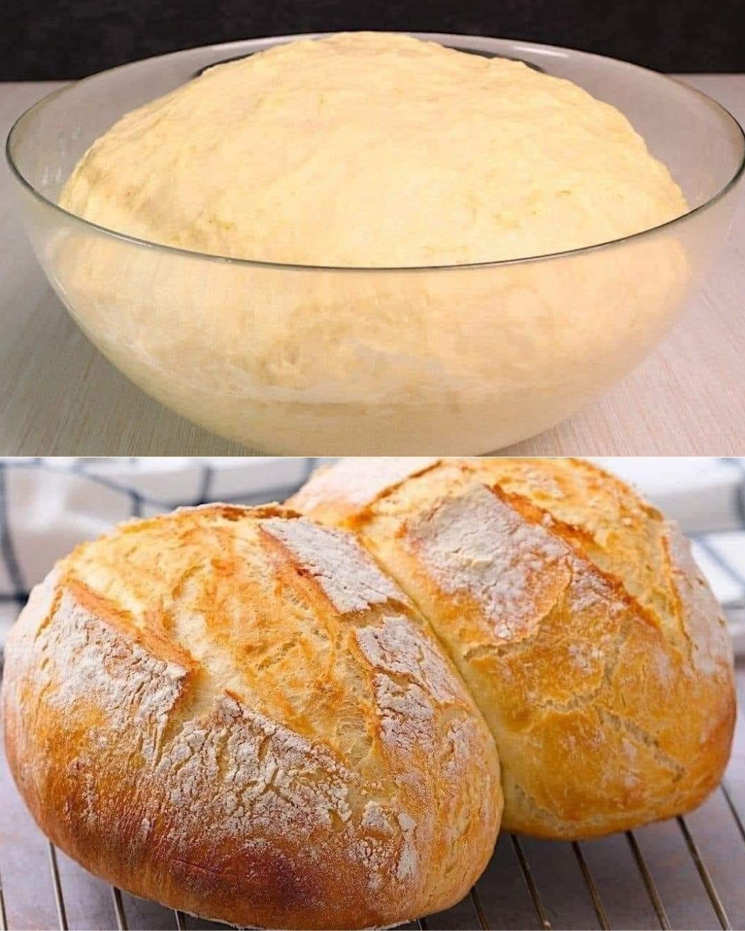 Artisan Bread Recipe