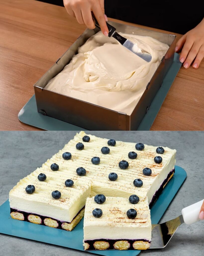 Blueberry Tiramisu Delight