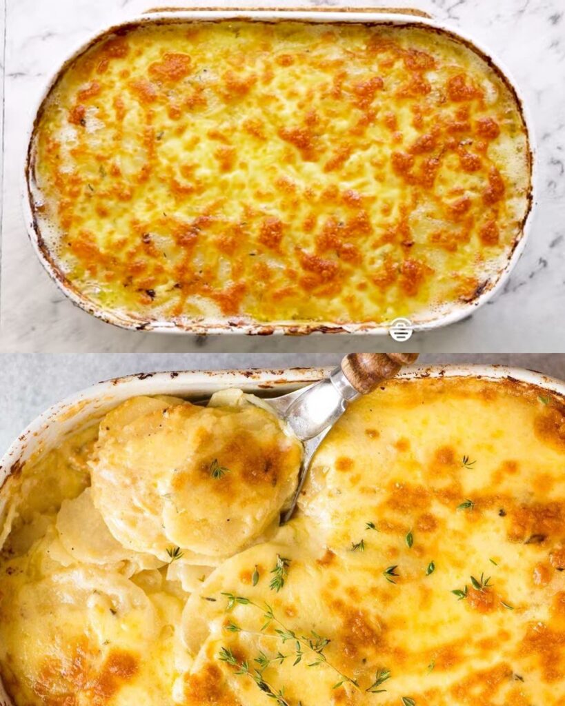 Creamy Garlic Potato Gratin
