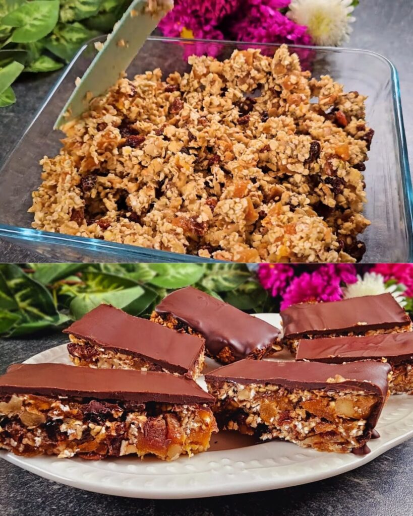 Healthy Oat, Nut, and Fruit Bars with Dark Chocolate