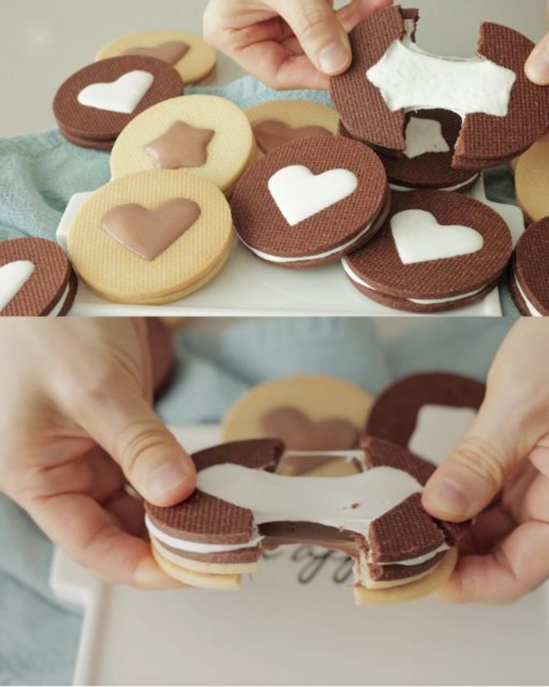 Vanilla and Chocolate Cookies with Marshmallow Filling