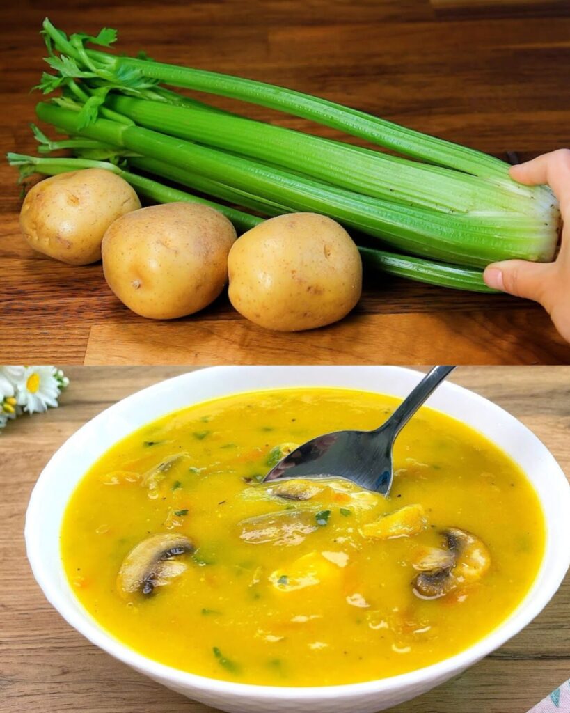 Hearty Chicken and Vegetable Soup
