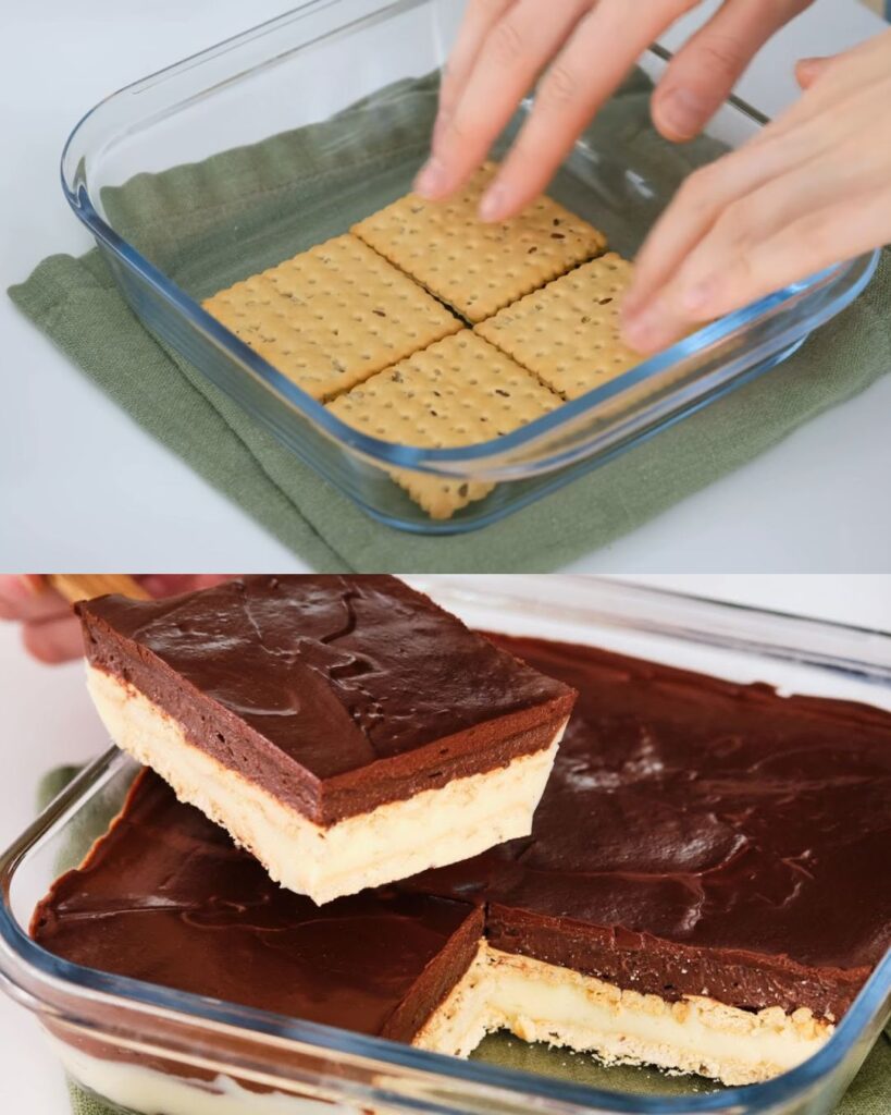 Layered Chocolate Custard Cake with Biscuit Base
