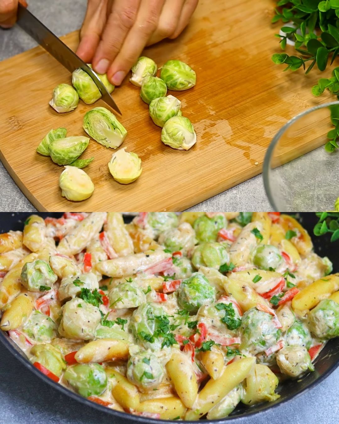 Creamy Brussels Sprouts and Schupfnudeln Casserole