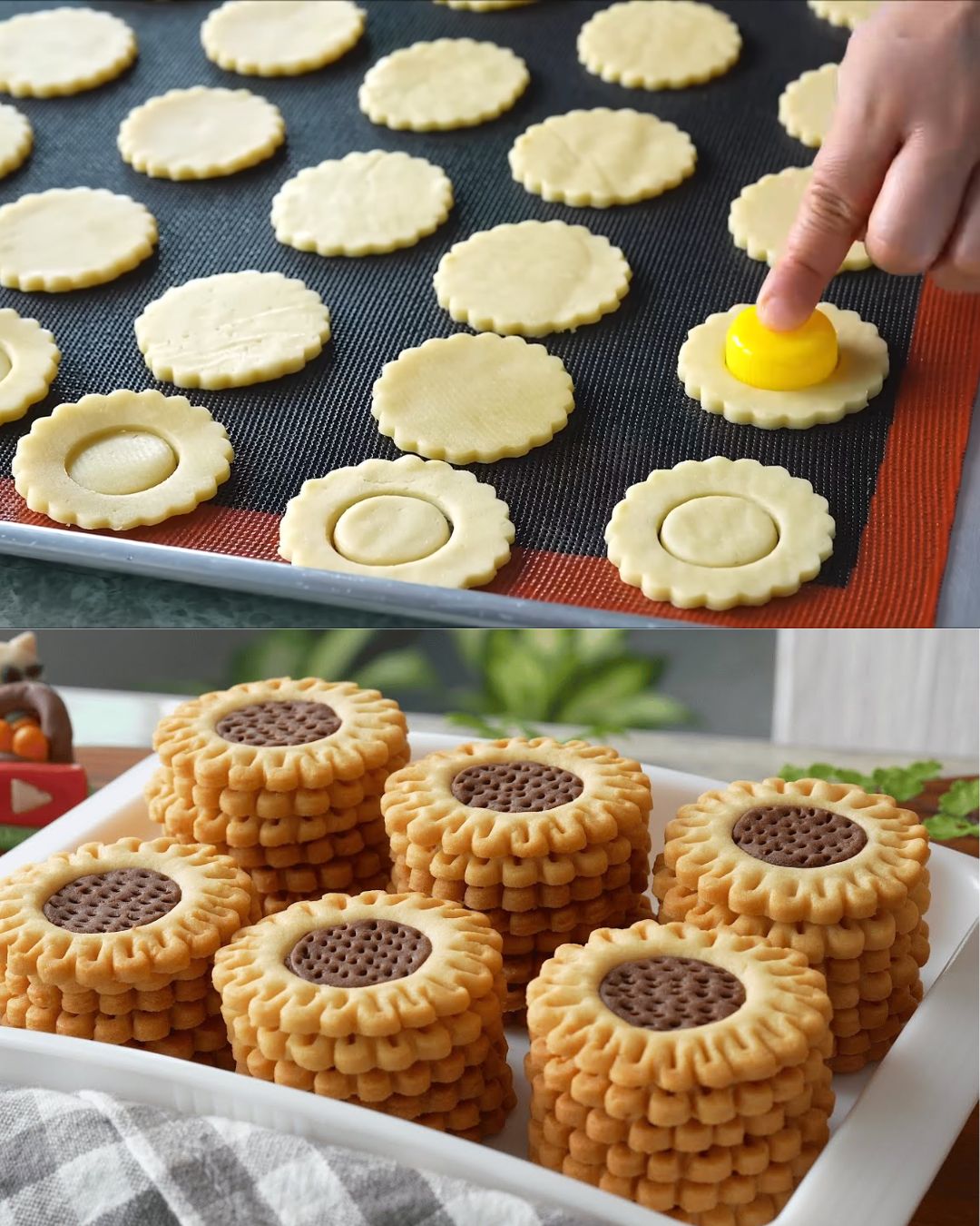 Sunflower Butter Cookies (Galletas Girasol de Mantequilla)