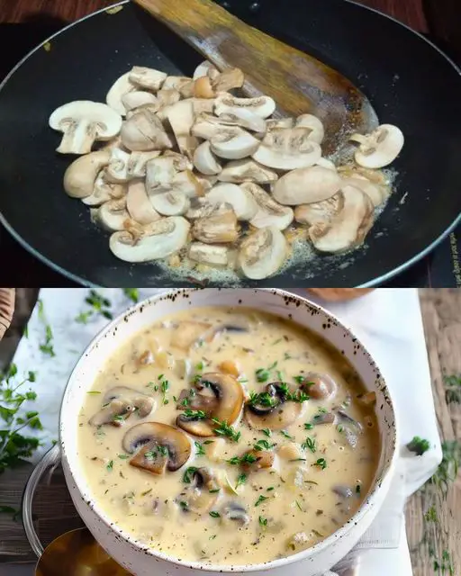 Cream of Mushroom Soups
