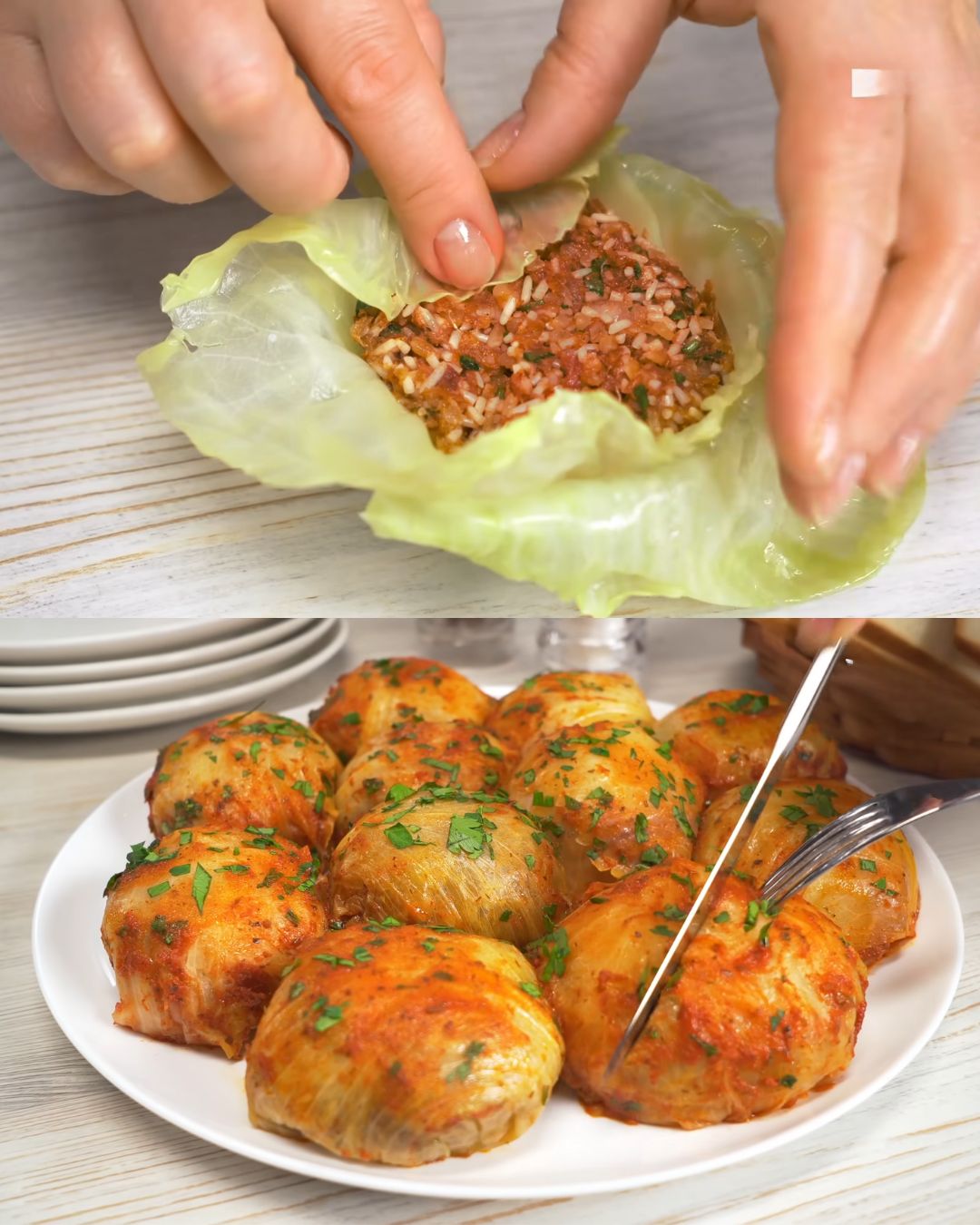 Classic Stuffed Cabbage Rolls in Tomato Sauce