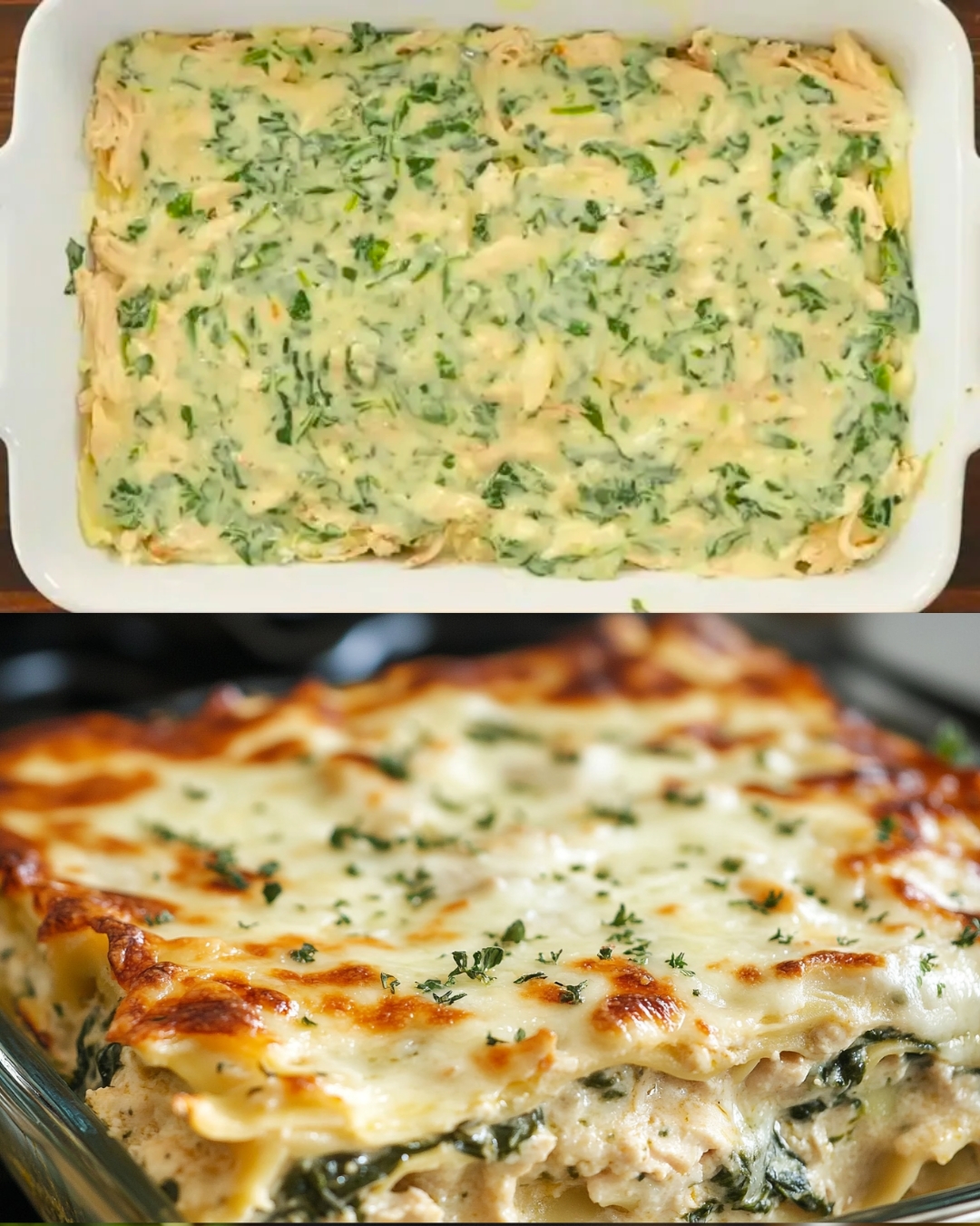 Chicken Lasagna Recipe