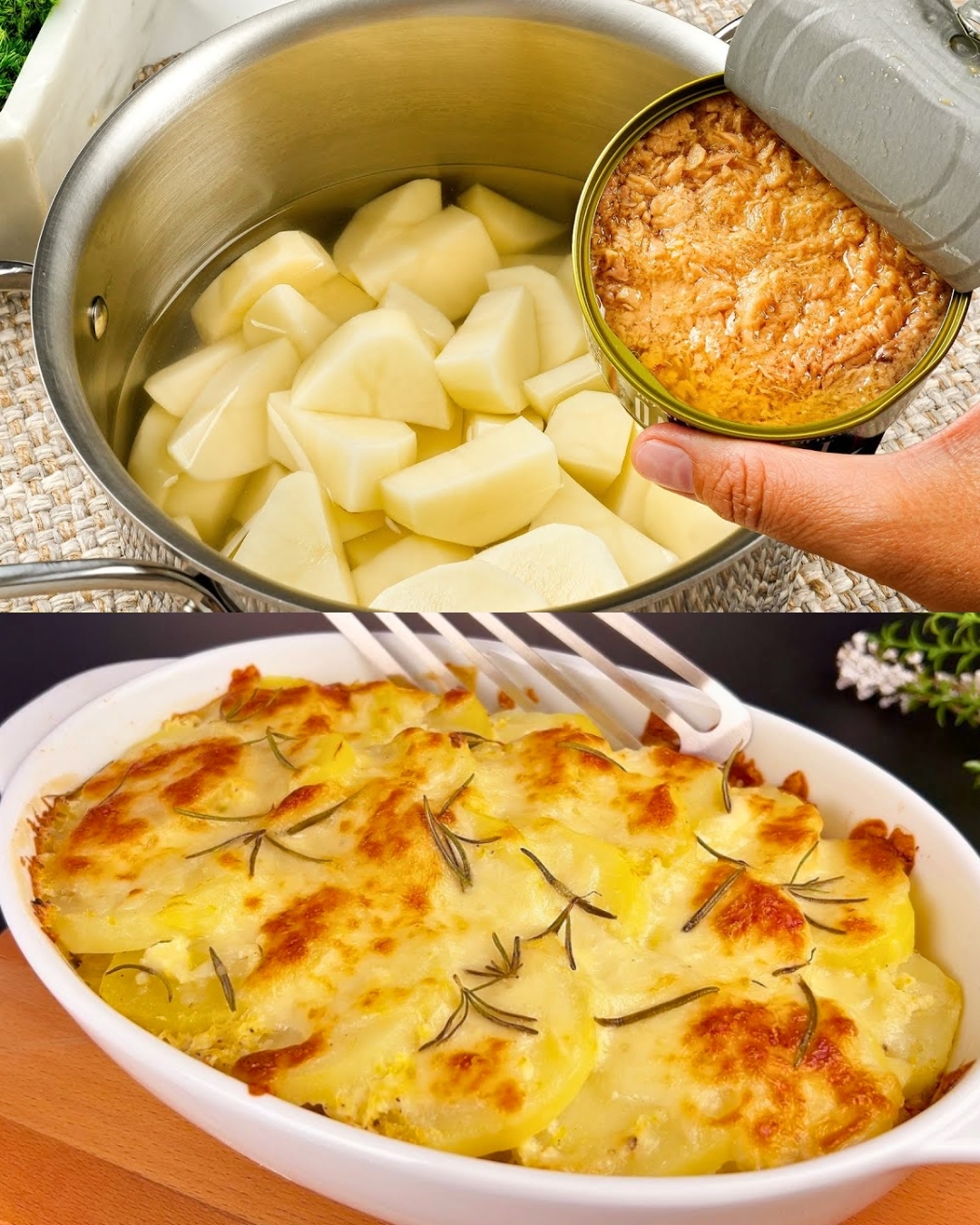 Creamy Tuna and Potato Casserole