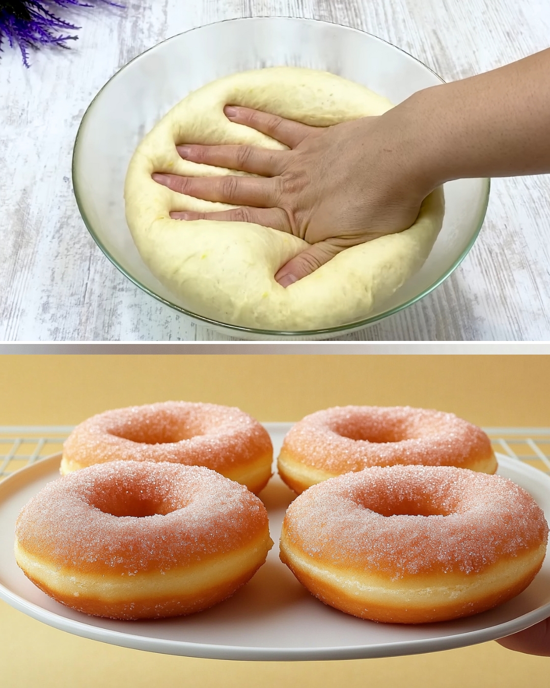 Italian Donuts - The Best Homemade Donuts Recipe