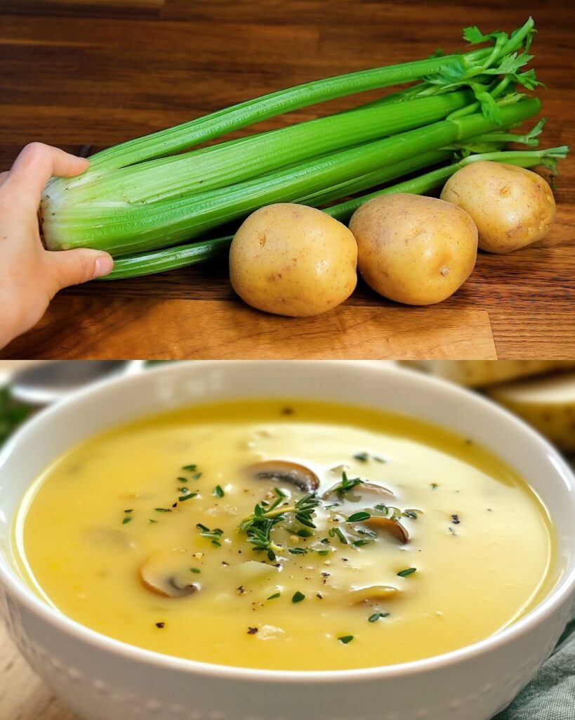 Vegetable and Chicken Soup
