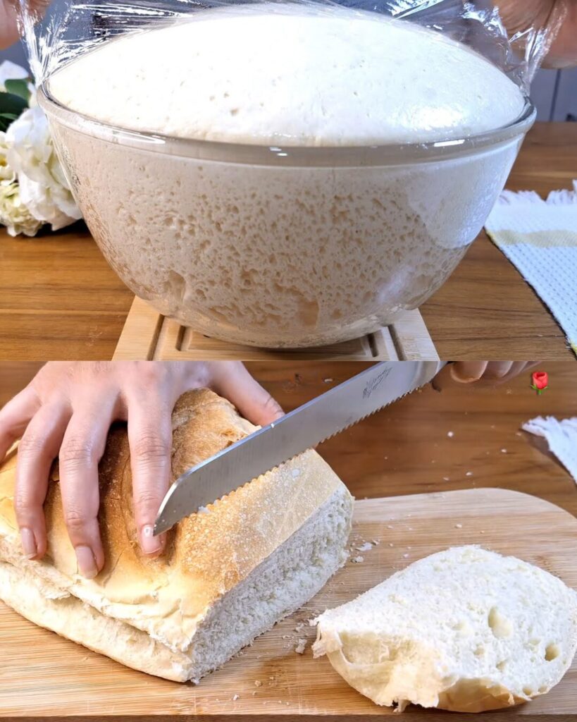 Homemade Simple Wheat Bread