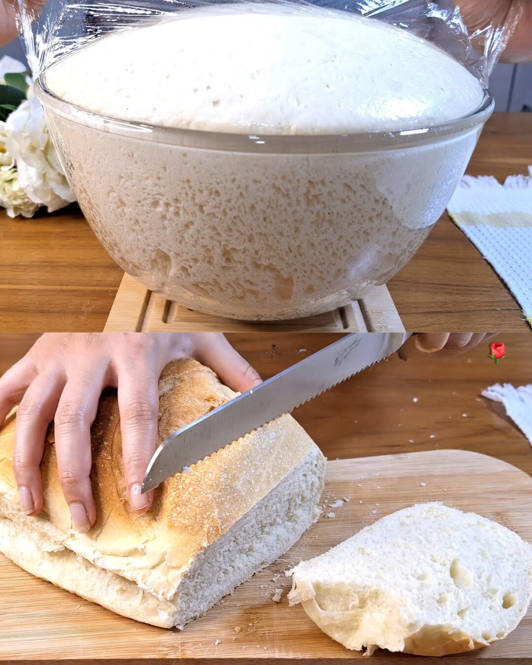 Homemade Simple Wheat Bread