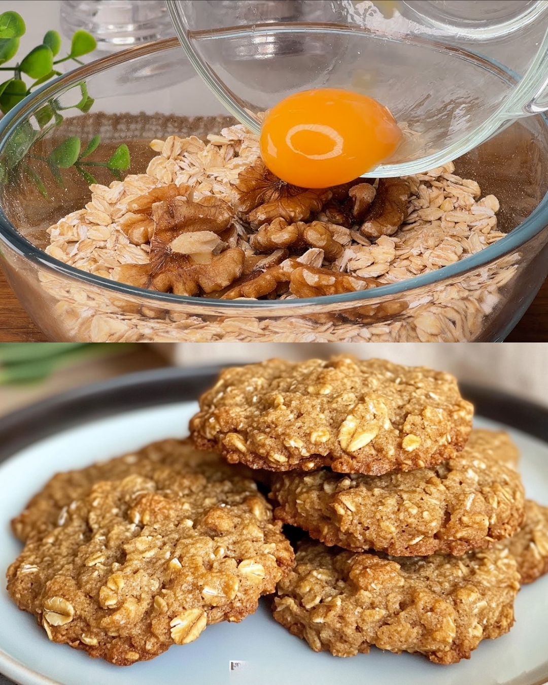 Oatmeal Walnut and Plum Butter Bars