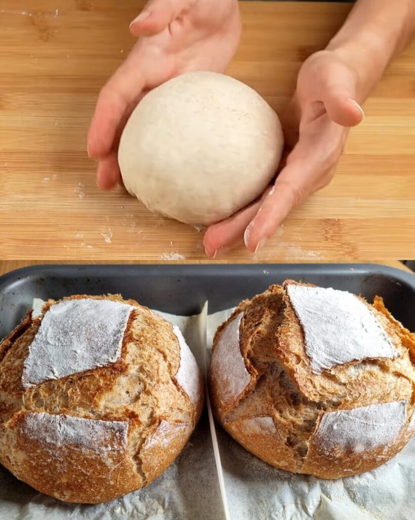 Whole Wheat Bread Recipe