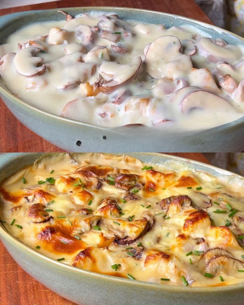 Chicken and Mushroom Gratin Recipe