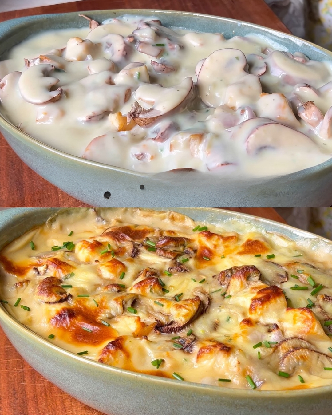 Chicken and Mushroom Gratin Recipe