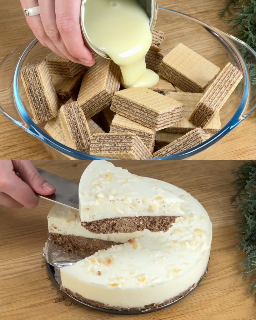 No-Bake Chocolate Wafer and Cottage Cheese Cake