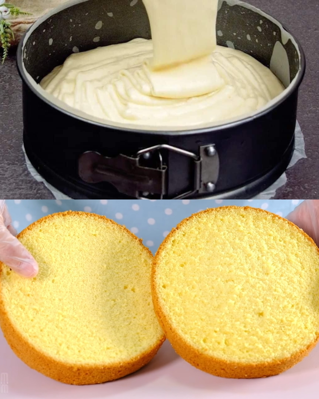 Vanilla Sponge Cake Recipe