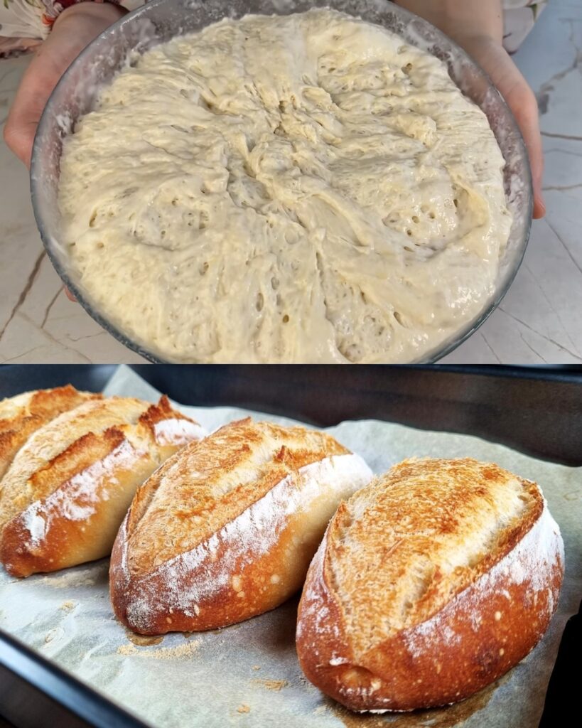 Homemade Crusty Bread Loaves