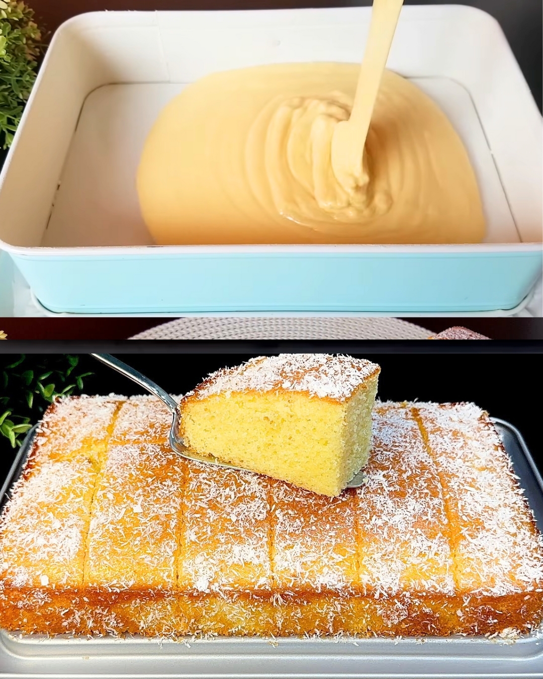 Lemon Cake with Apricot Jam and Coconut Decoration