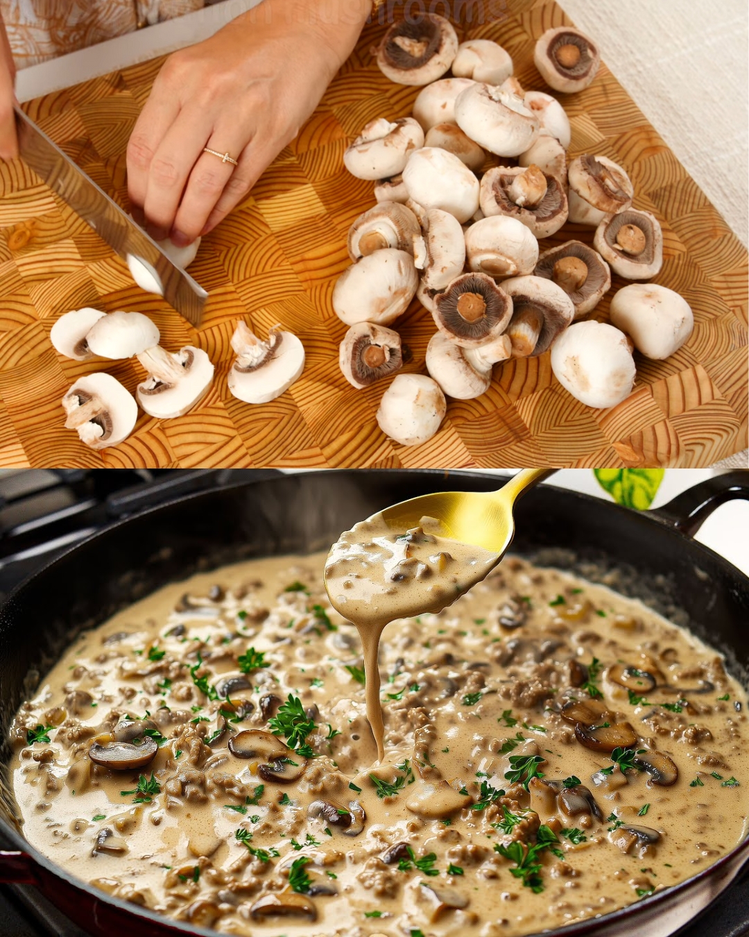 Creamy Ground Beef and Mushroom Pasta