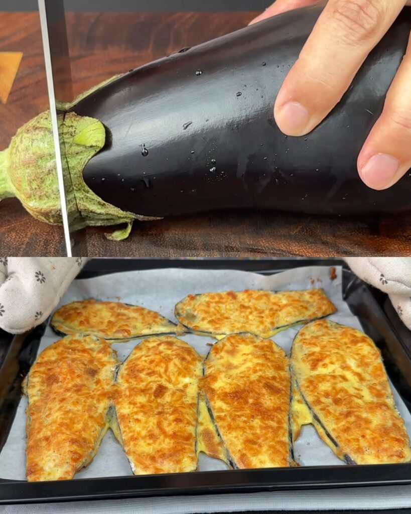Baked Eggplant Mozzarella Medallions
