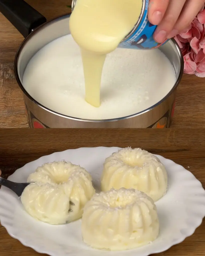 Peach Vanilla Milk Pudding with Coconut Topping