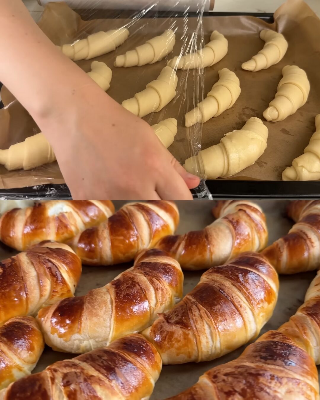 Golden Butter Fan Rolls