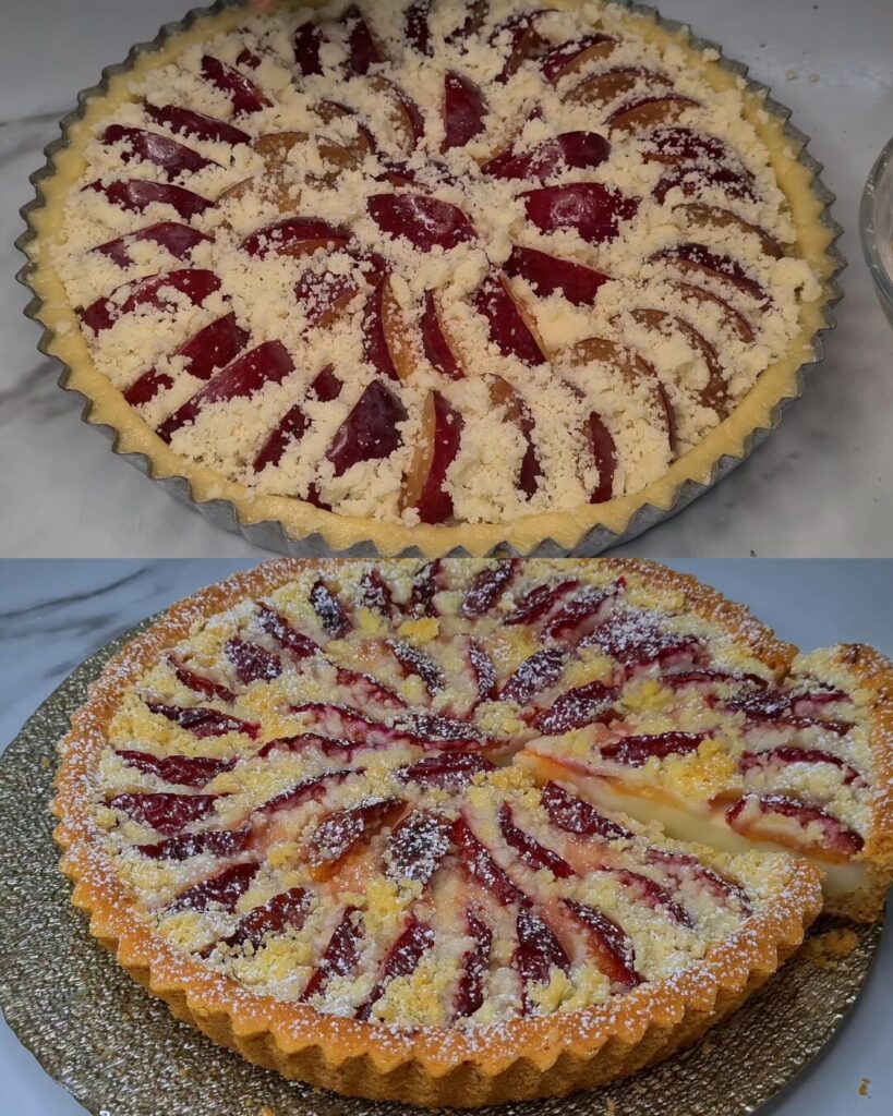 Rustic Plum Custard Streusel Cake