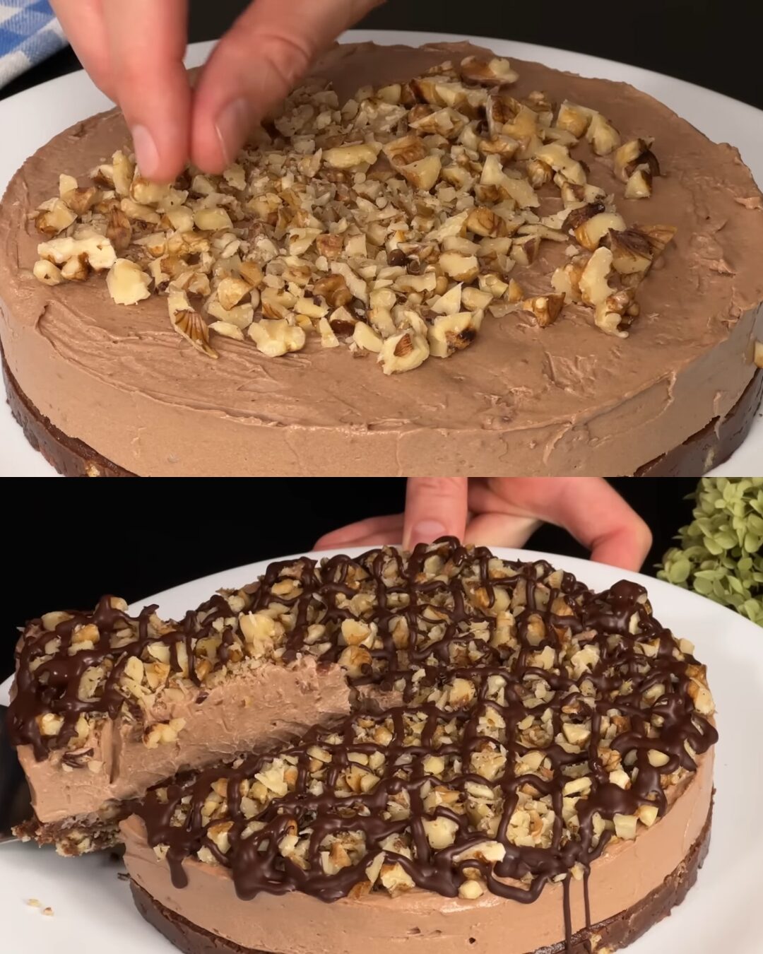 Chocolate Biscuit Cake with Creamy Chocolate Custard and Walnuts