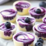 Blueberry Swirl Yogurt Bites