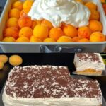 Apricot Mascarpone & Cottage Cheese Tart