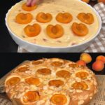 Apricot Sour-Cream Butter Cake