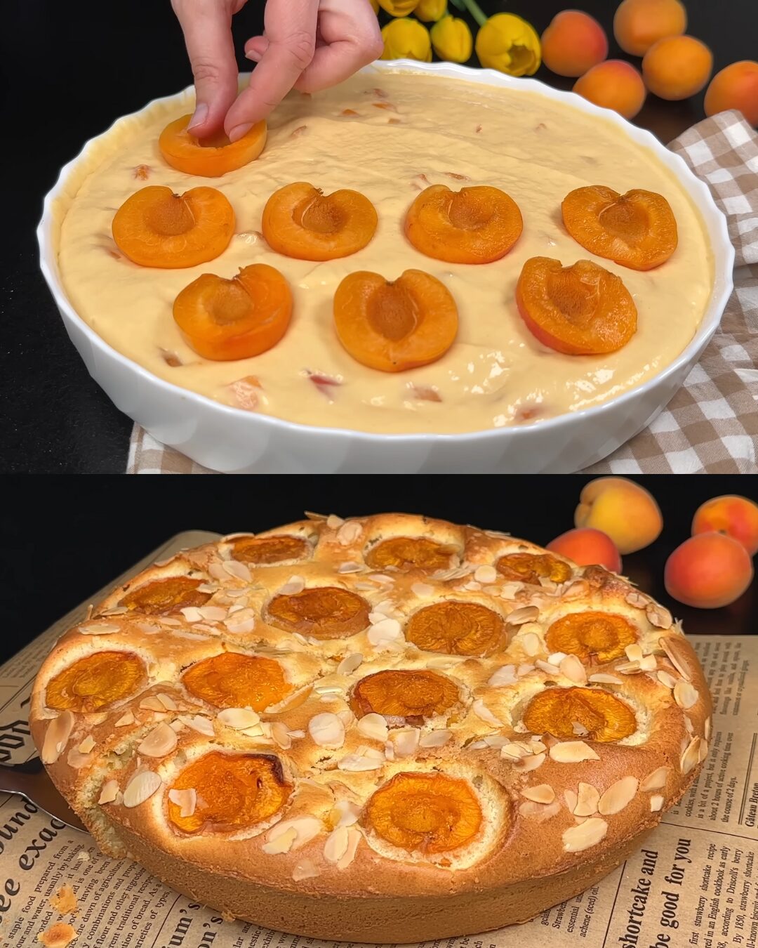 Apricot Sour-Cream Butter Cake