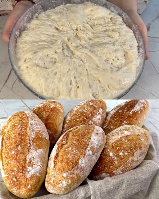 Soft Homemade Bread Rolls