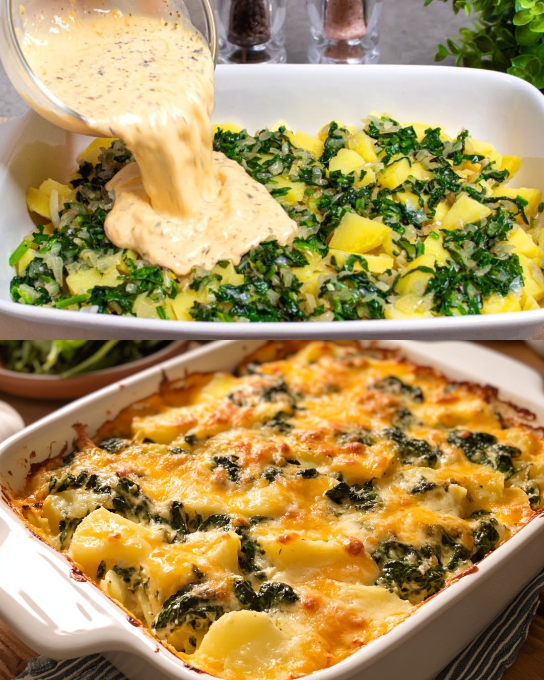 Spinach and Potato Gratin with Cheddar Cheese
