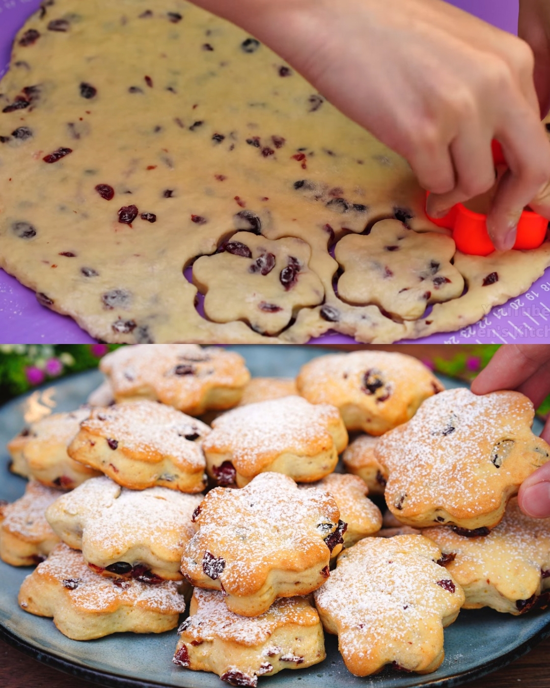 Sour Cream Cranberry Cookies
