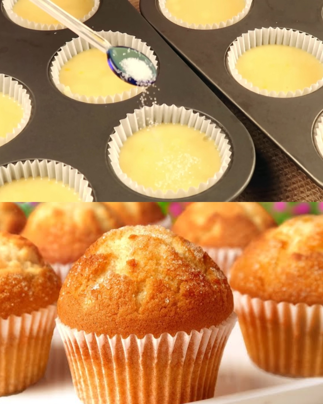 Classic Lemon Muffins