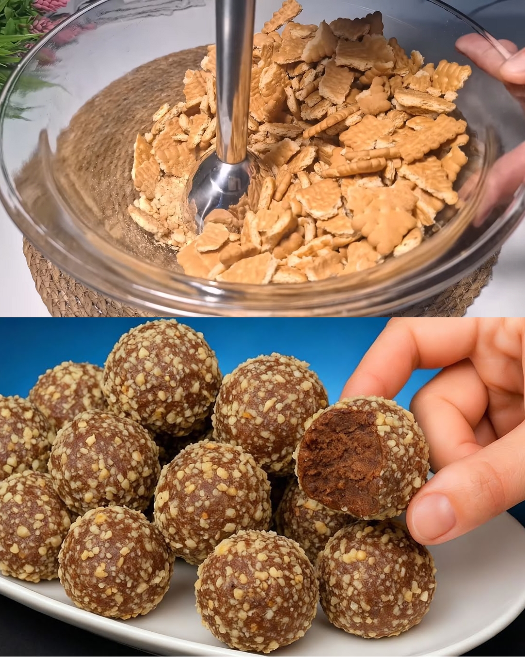No-Bake Chocolate Biscuit Cake with Condensed Milk and Peanuts
